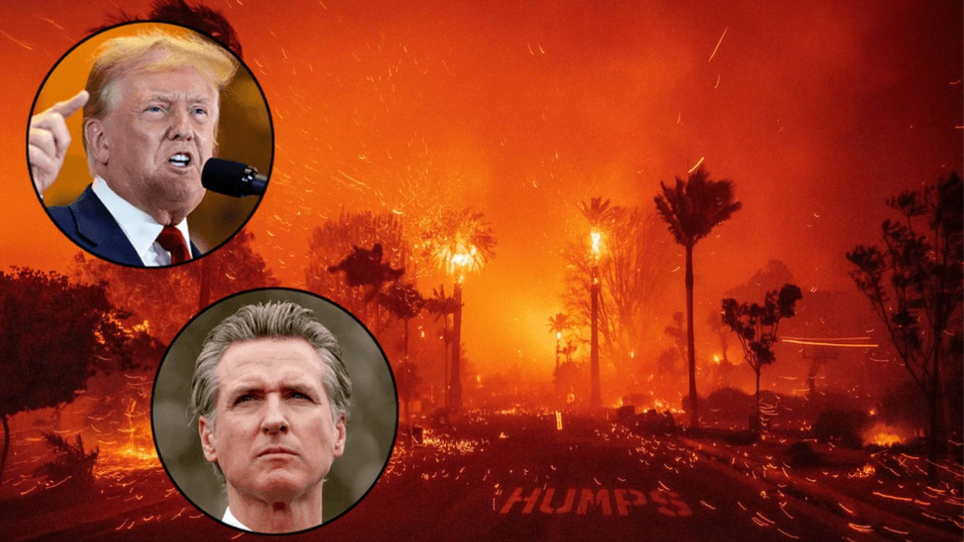 Presiden Donald Trump menyalahkan Gubernur California, Gavin Newsom, atas kebakaran hutan yang melanda  California. (Foto:Istimewa)