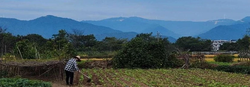 Seorang petani wanita yang sedang mencangkul diladang, Desa puwei ,provinsi Hunan. China.
Credit: Sukma
