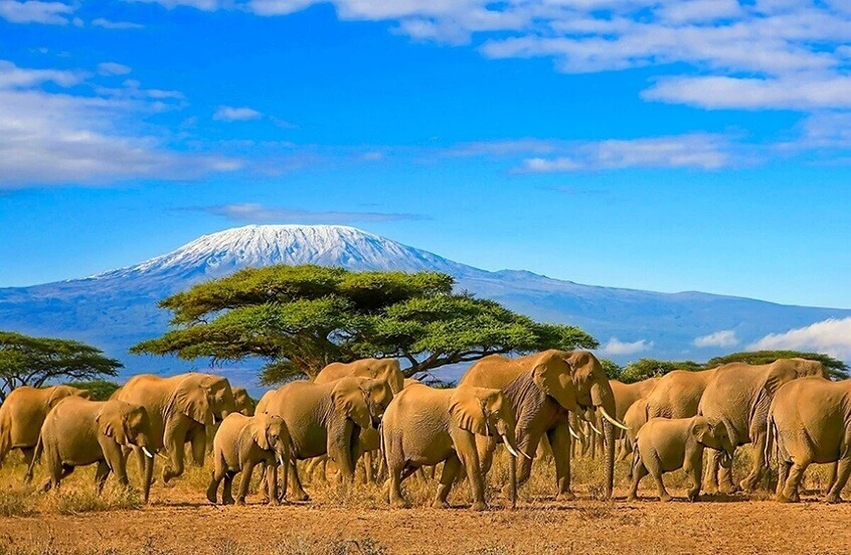 Para ilmuwan meyakini bahwa jika bukan karena adanya jembatan darat antara Asia dan Afrika yang muncul akibat proses tektonik di dalam Bumi, maka nasib planet ini akan sangat berbeda. Credit: Travel Off Path.