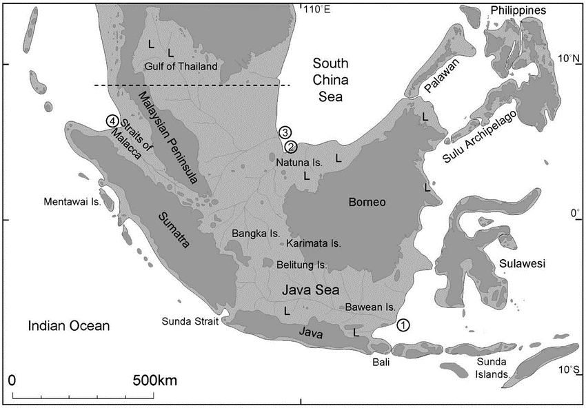 Sundaland pada Glasial Maksimum Terakhir, menunjukkan distribusi lahan modern dalam warna abu-abu gelap dan lahan tambahan yang terekspos selama LGM dalam warna abu-abu terang. Kredit: Voris, 2000.