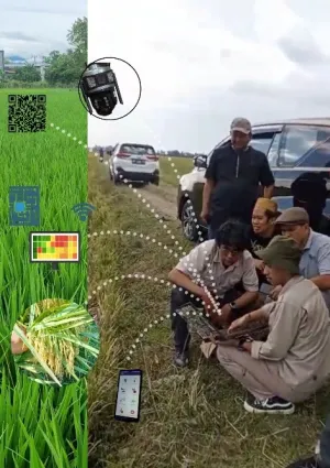 Tim Fakultas Pertanian Universitas Hasanuddin bersama petani milenial Wija Paggalung Community di Kecamatan Baranti, Sidrap, memantau kondisi tanaman padi menggunakan sistem DiGi Farming berbasis IoT dan AI untuk deteksi dini hama dan penyakit secara real time di lapangan.