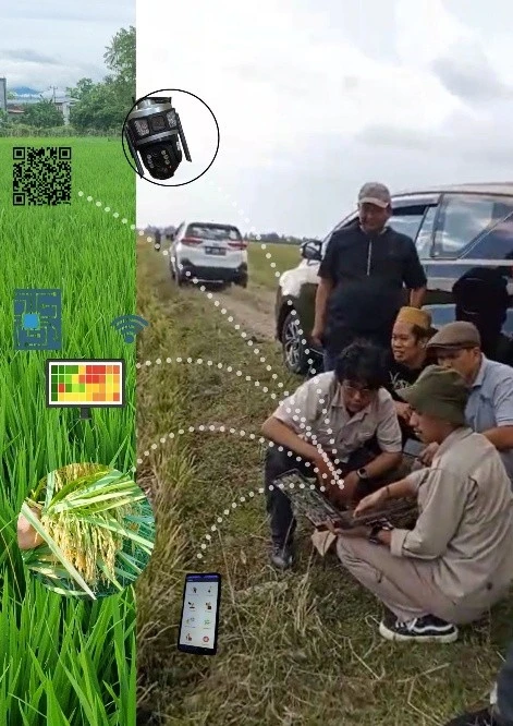 Tim Fakultas Pertanian Universitas Hasanuddin bersama petani milenial Wija Paggalung Community di Kecamatan Baranti, Sidrap, memantau kondisi tanaman padi menggunakan sistem DiGi Farming berbasis IoT dan AI untuk deteksi dini hama dan penyakit secara real time di lapangan.