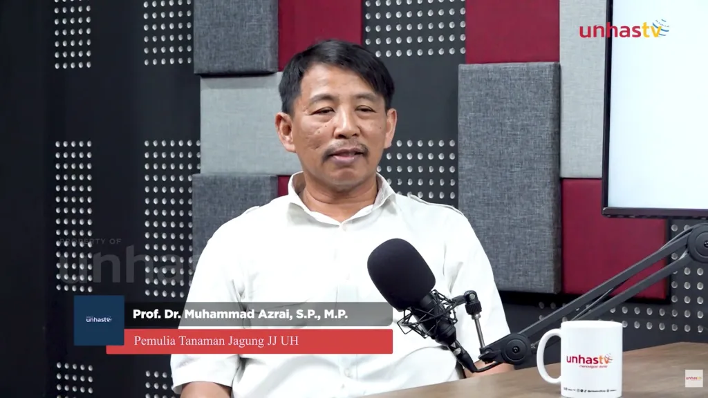Jagung Jago Unhas Dilirik Industri, Jadi Varietas Unggul Andalan ...